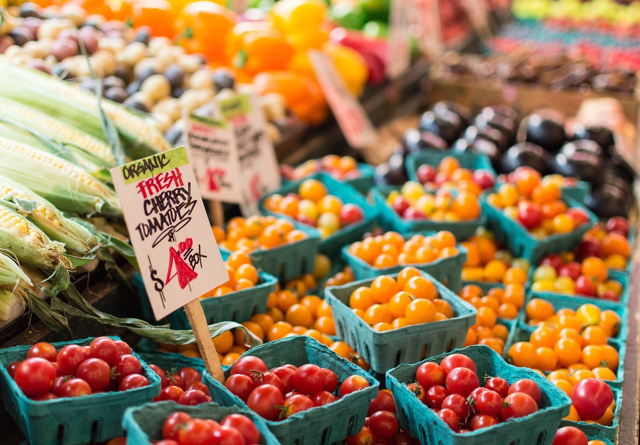 Tomatobus衣服价格全解析，最新设计与价值探索